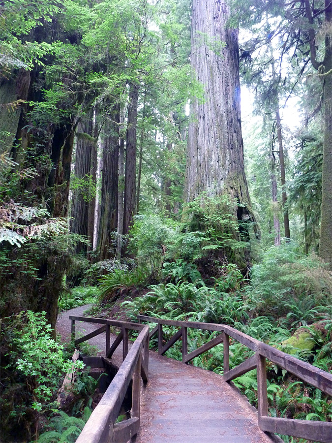 Bridge over a creek