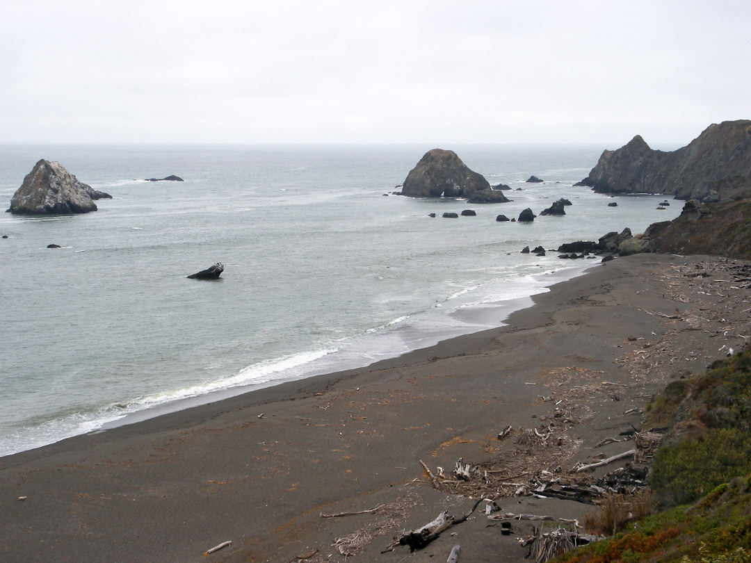 Beach north of Jenner