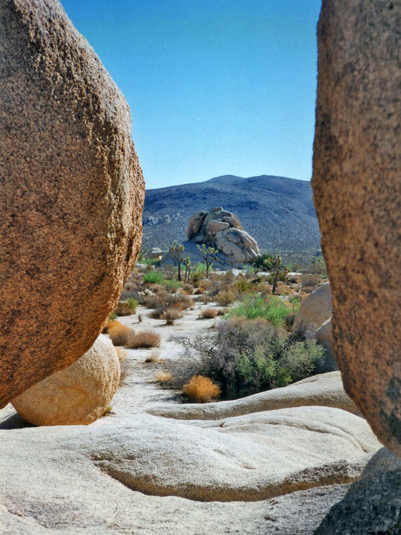 View from an alcove