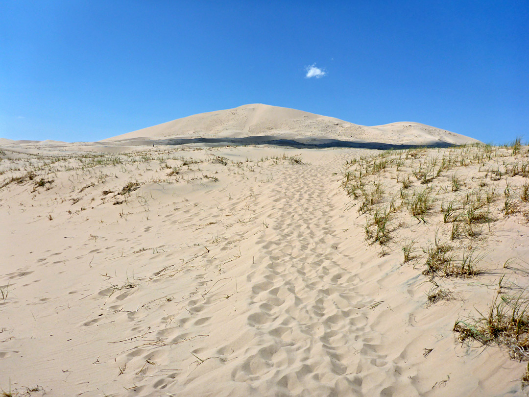 Trail into the sands