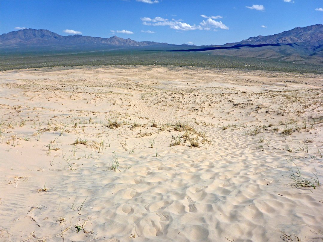 Half way to the tallest dune