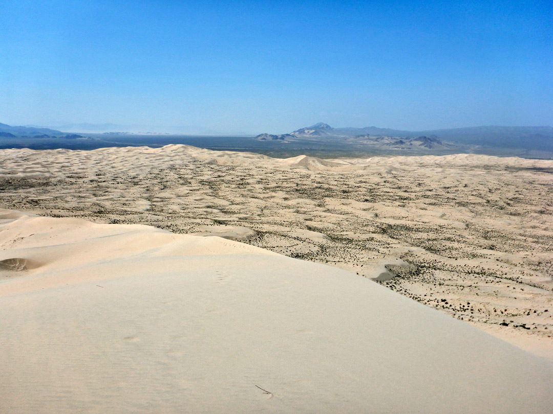 Top of the dunes