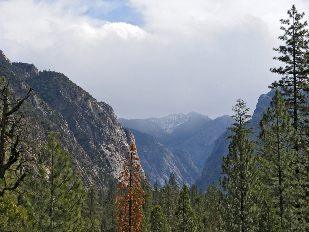 Kings Canyon - view east