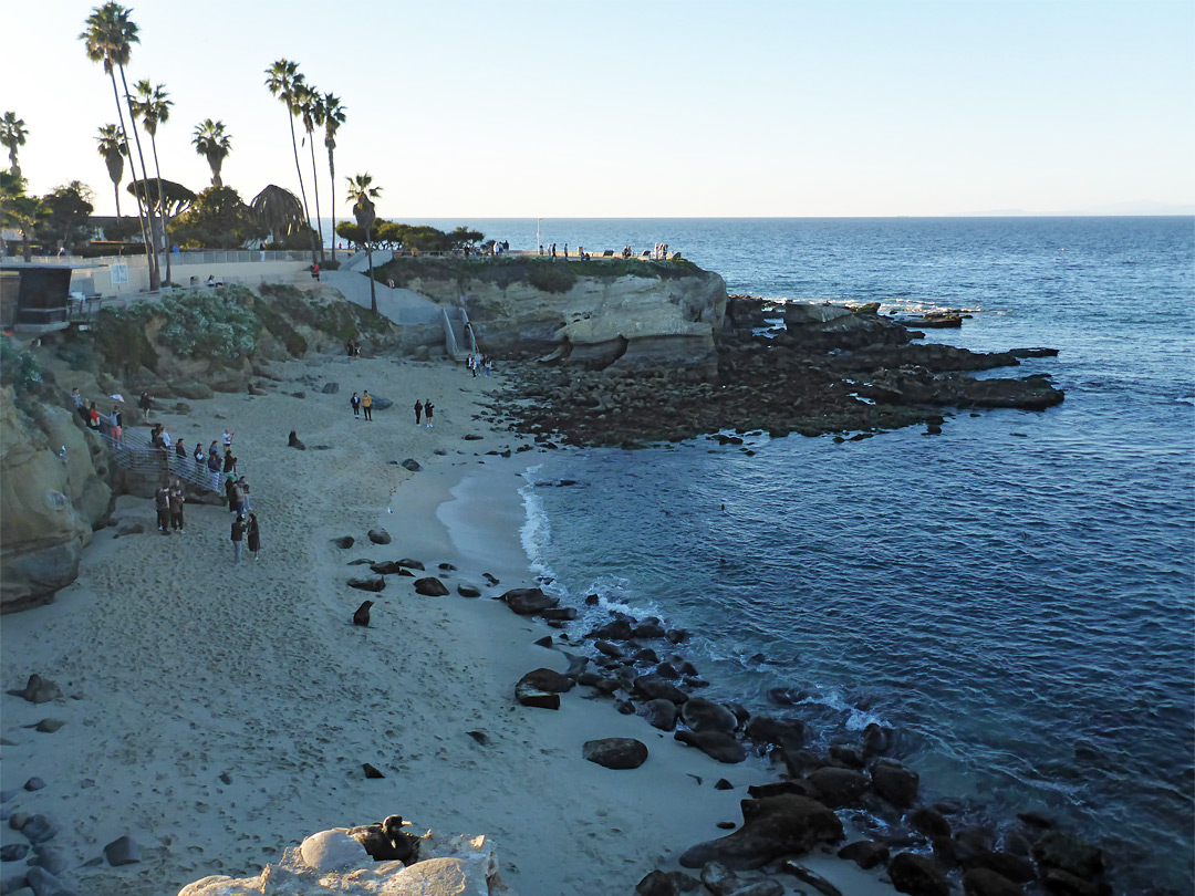 La Jolla Cove