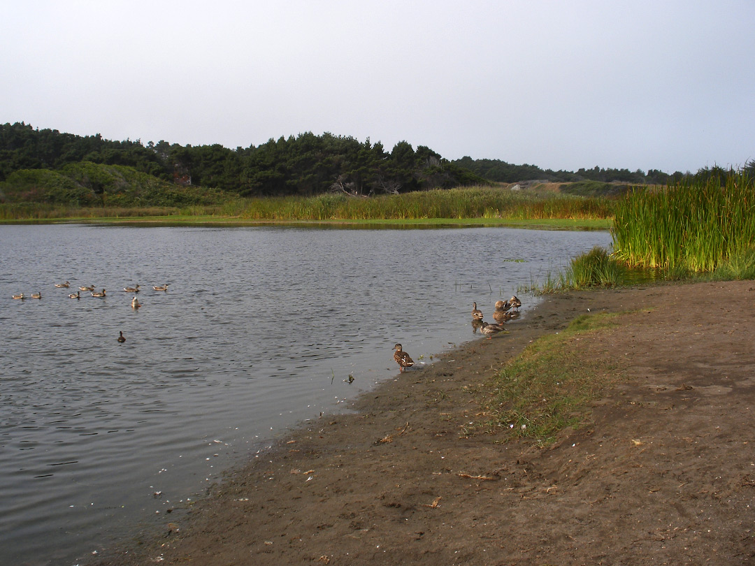 Lake Cleone