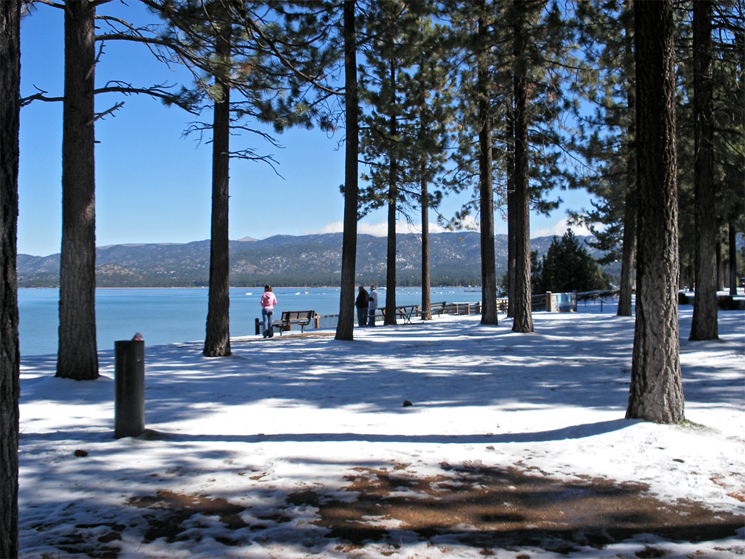 Lakeside snow