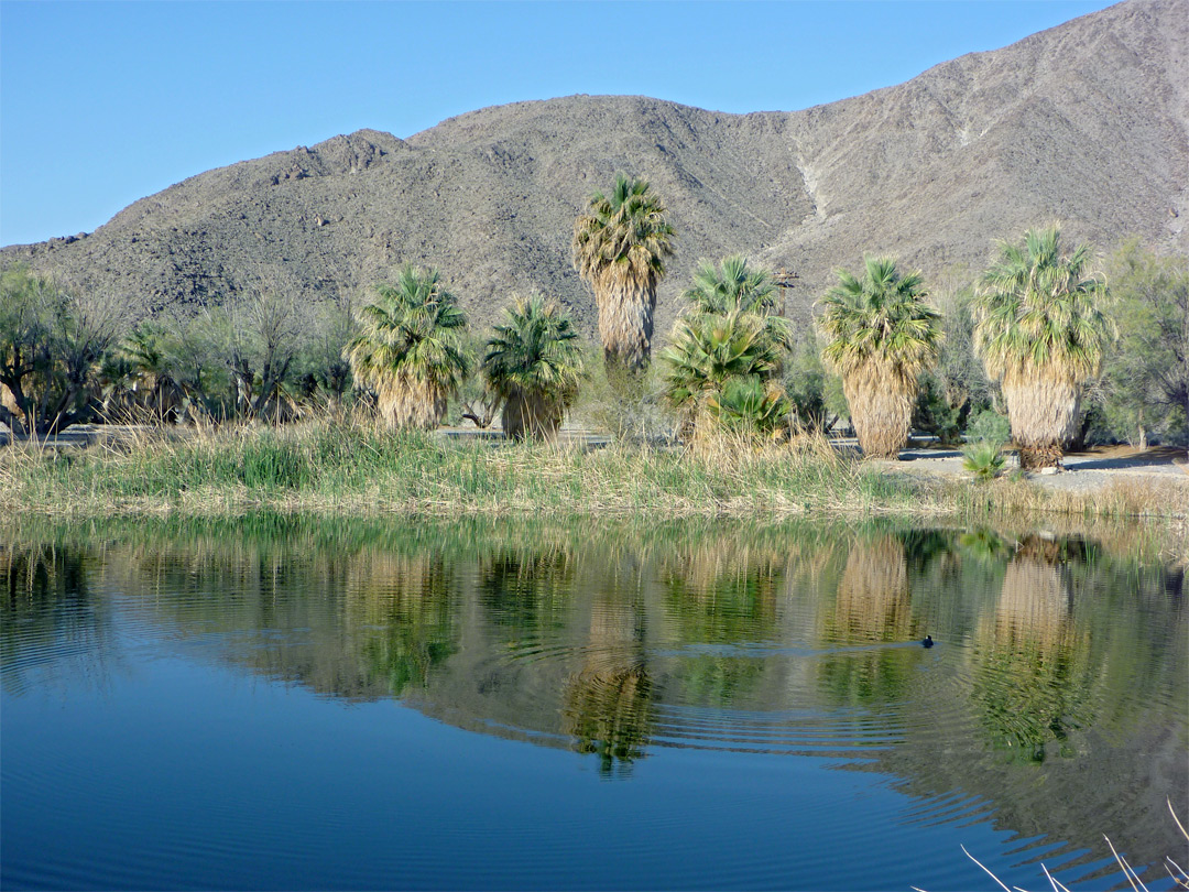 Lake Tuendae