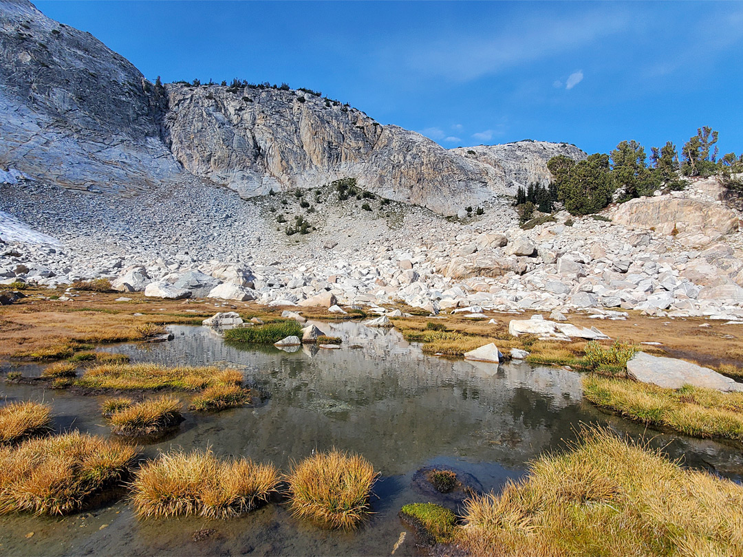 Pool along Lee Vining Creek
