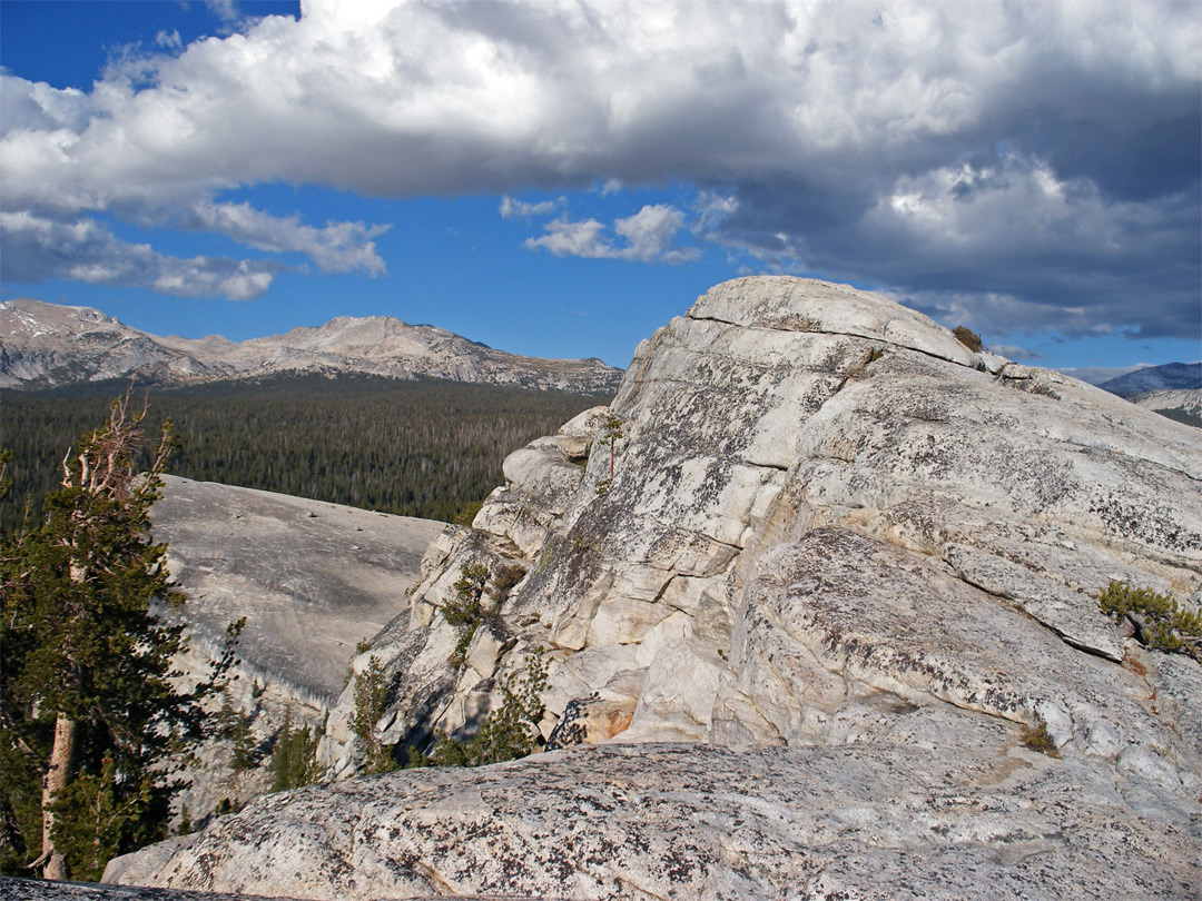 Top of Lembert Dome