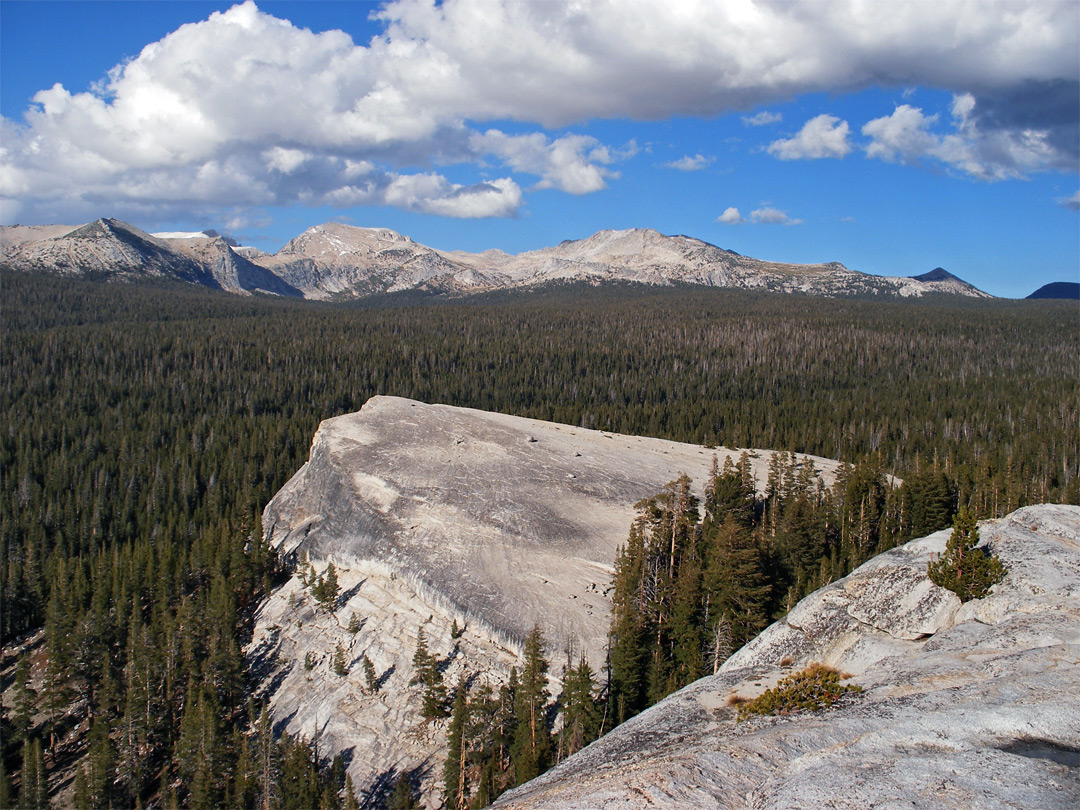 Lembert Dome - view north