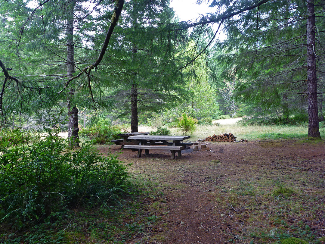 Little Bald Hills campground