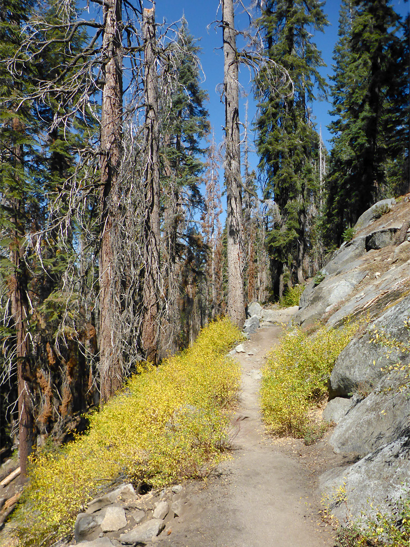 Trail past granite
