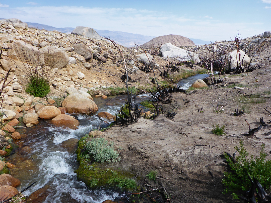 Lone Pine Creek - downstream