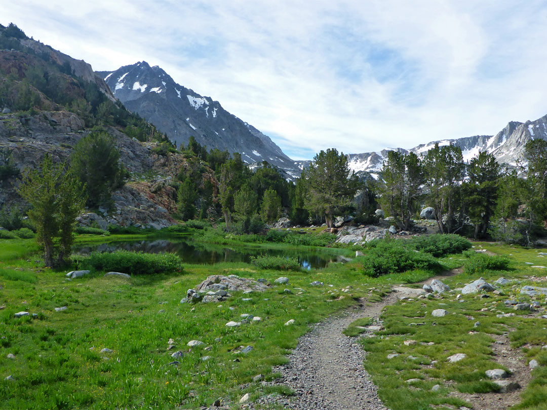 Path past a pond