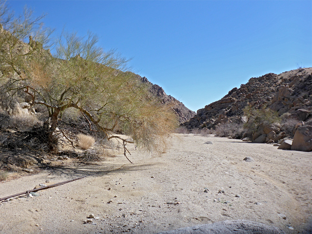 Wide streambed