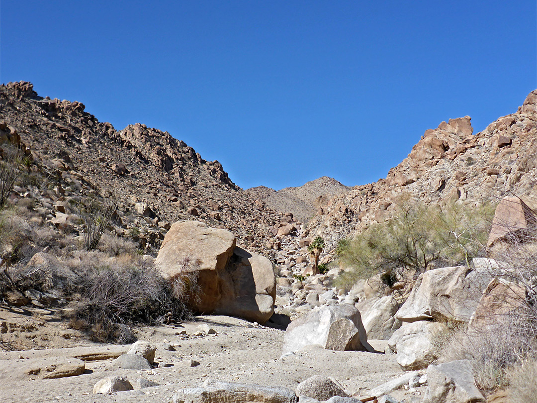 View up the canyon