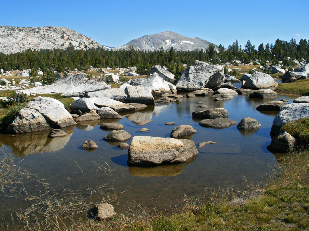 Shallow pond