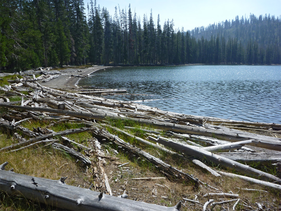 Logs by Lower Twin Lake