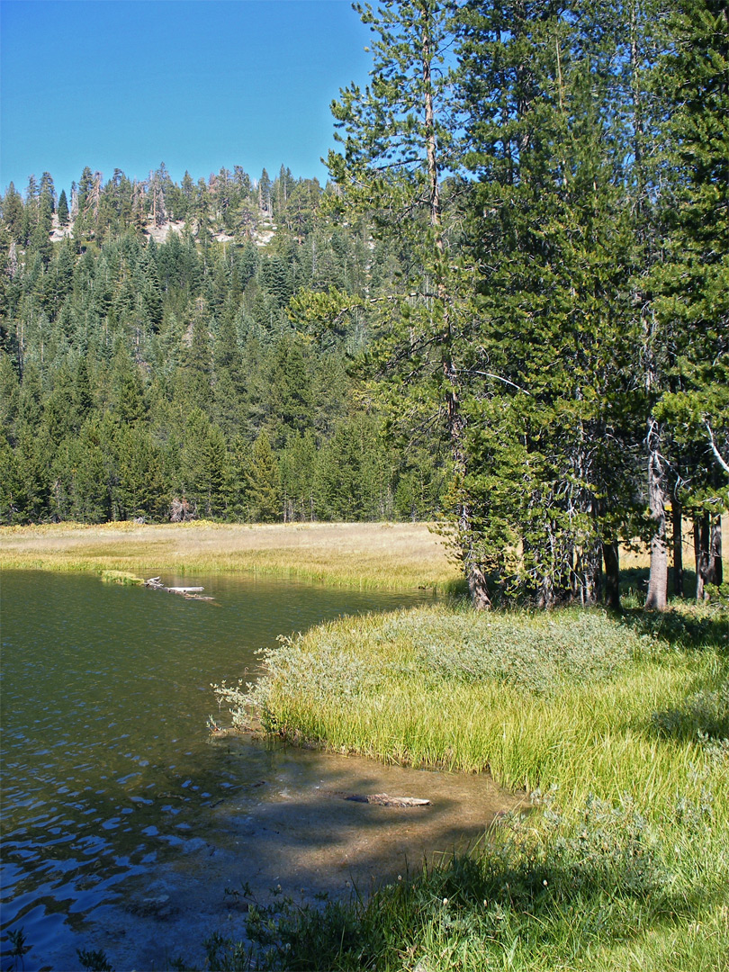 Shallow water at the edge of the lake