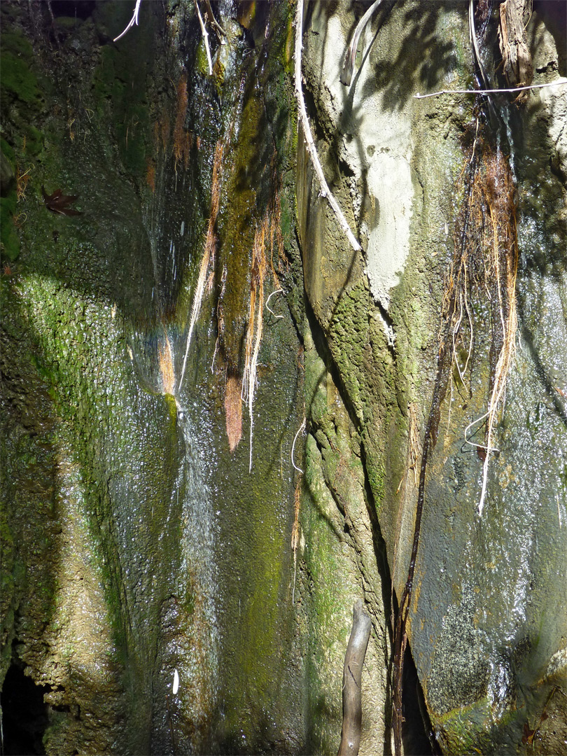 Maidenhair Falls