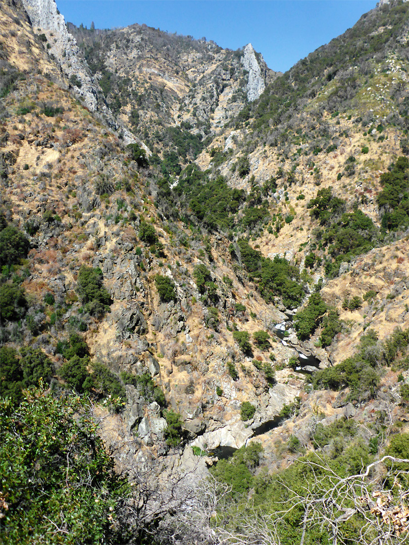 Above the streambed