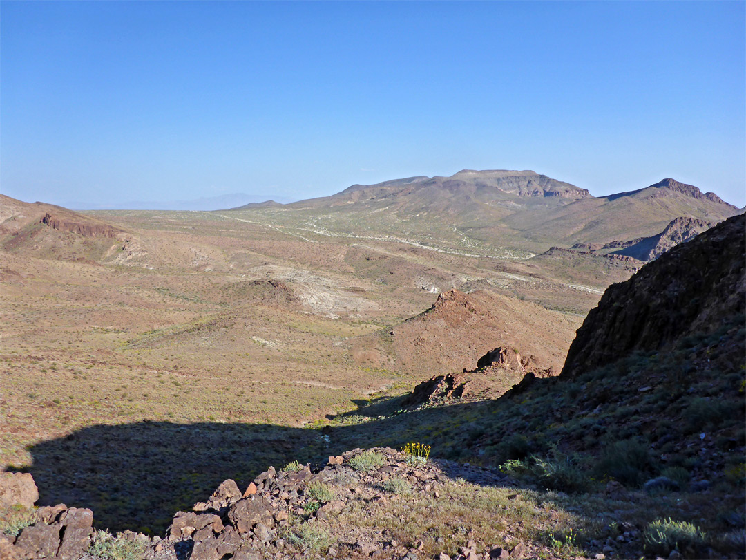 Trilobite Wilderness