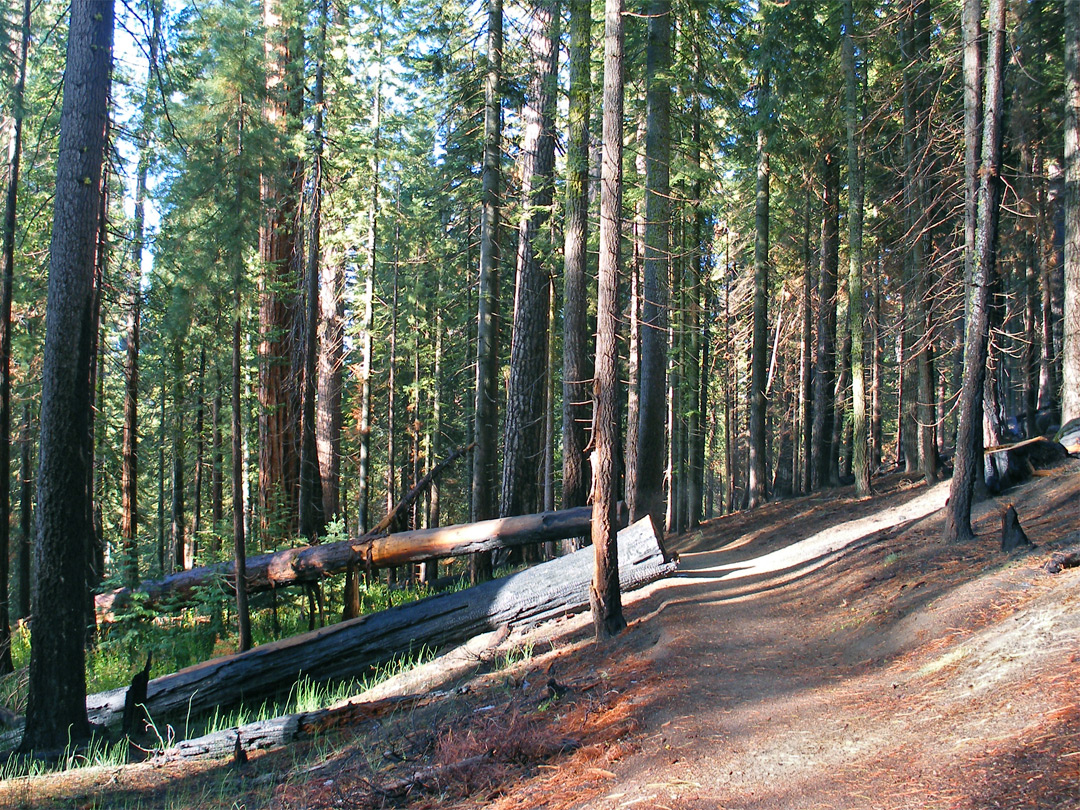 Outer Loop Trail