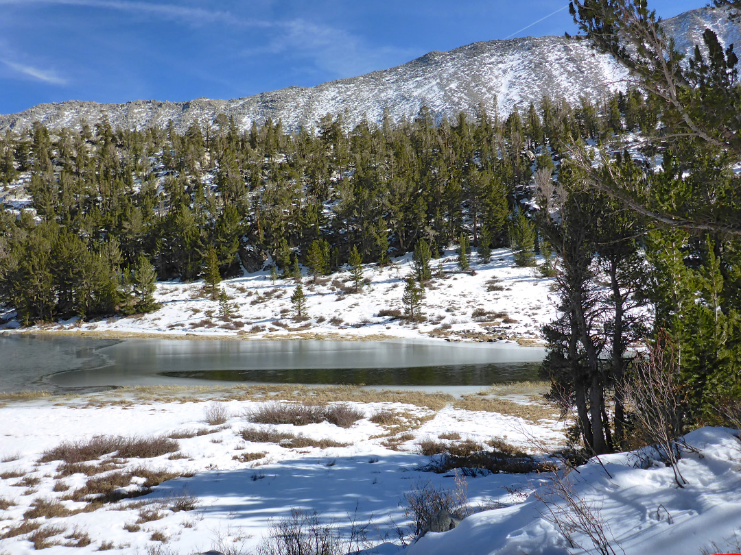 Marsh Lake