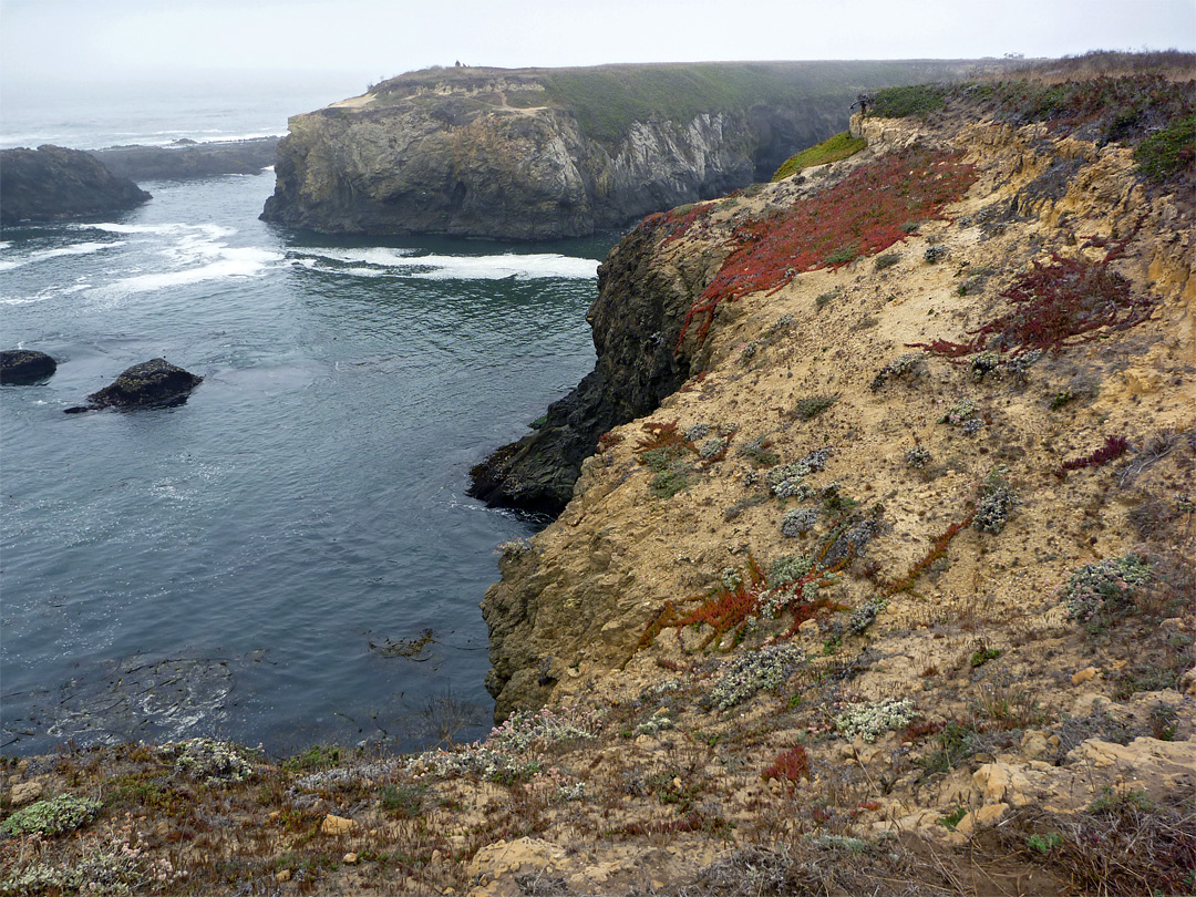 Sandstone bluffs