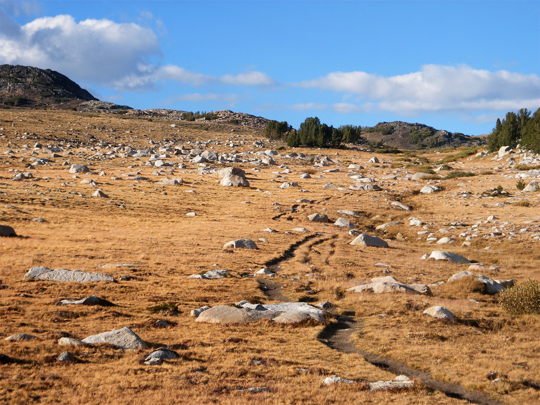 Trail across a stony meadow