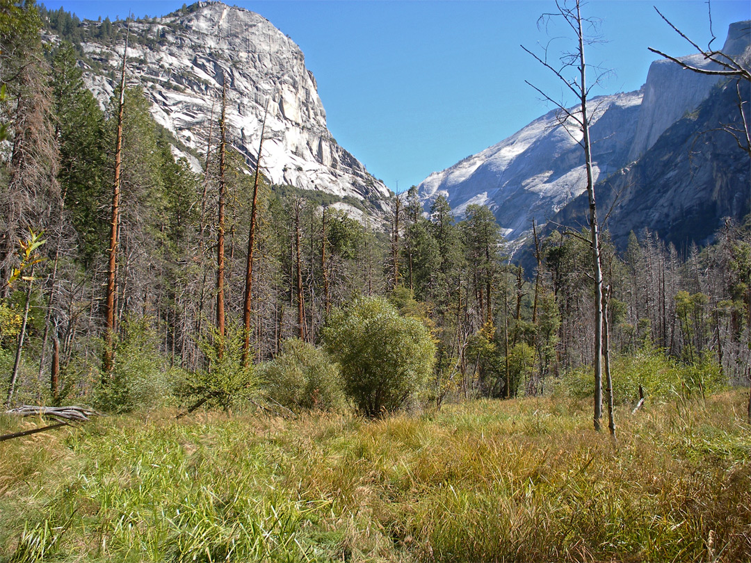 Mirror Meadow