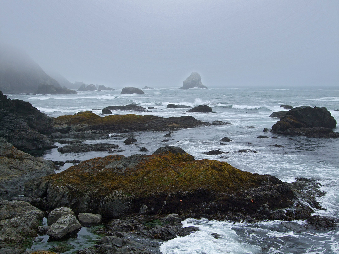 Fog-bound coast