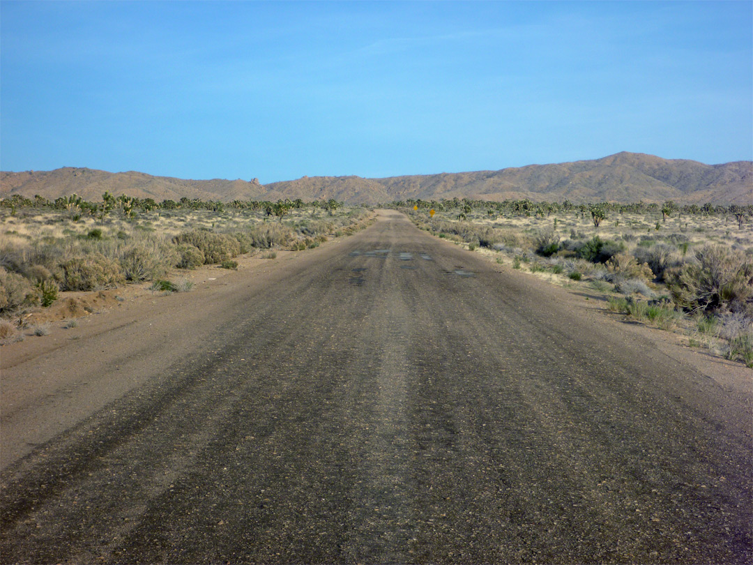 Mojave National Preserve