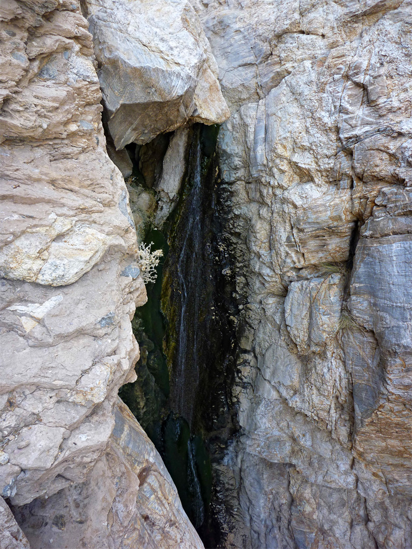 Top of the falls