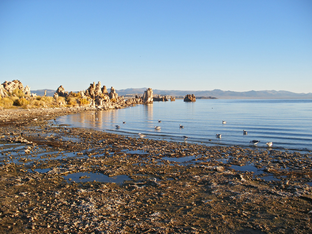 Pebbly beach