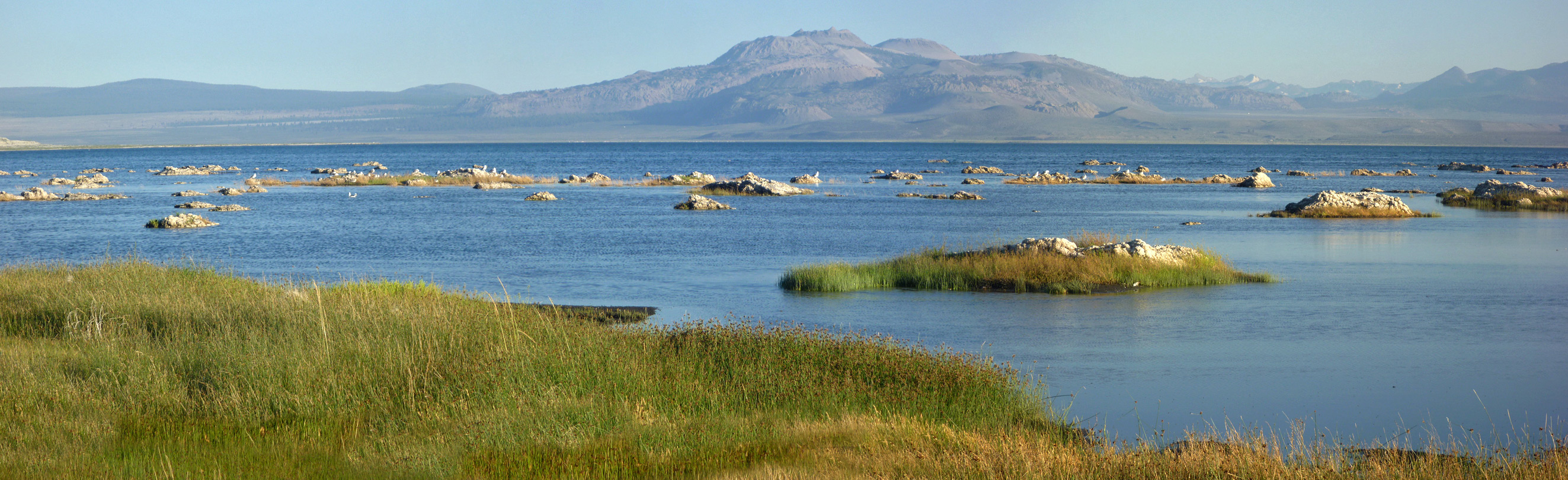 North shore of Mono Lake