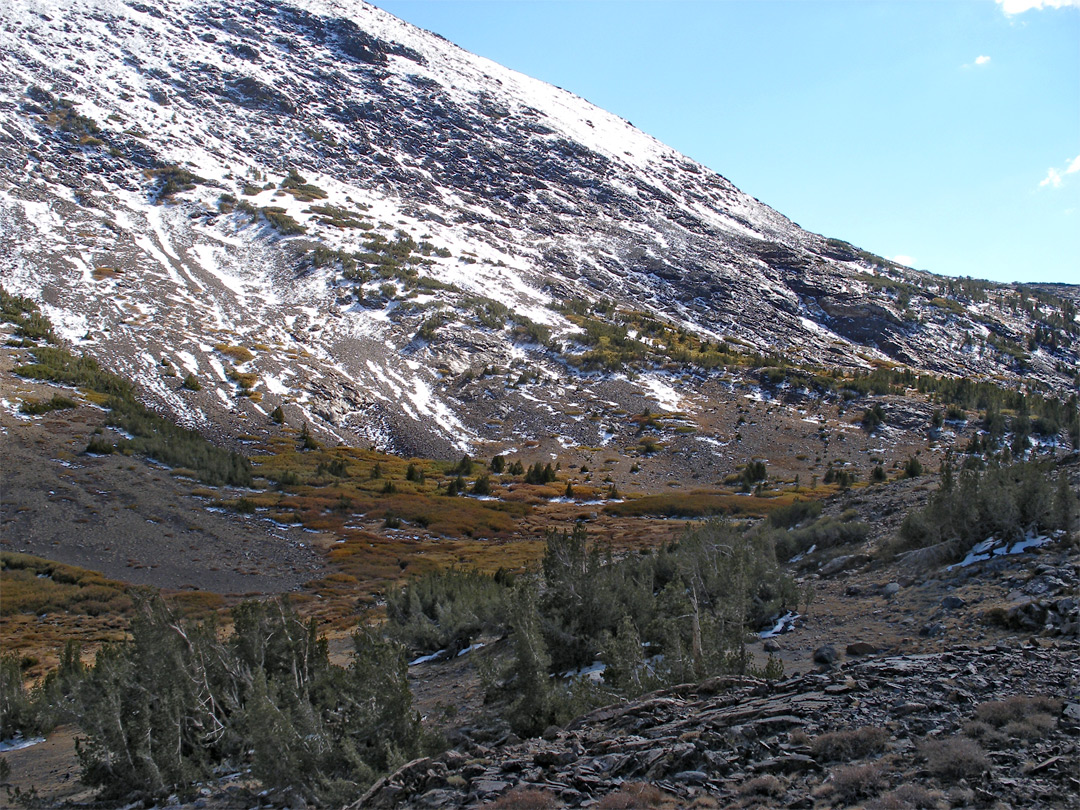 Slopes of Mt Lewis