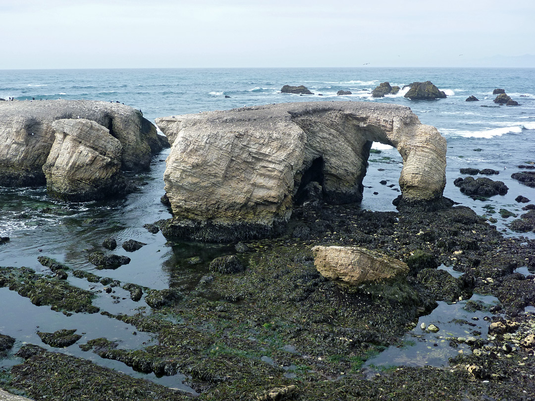 Elephant-like rock