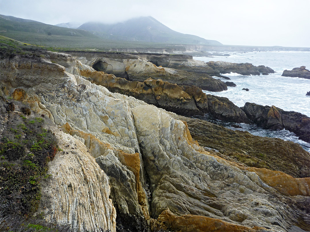 View south along the coast