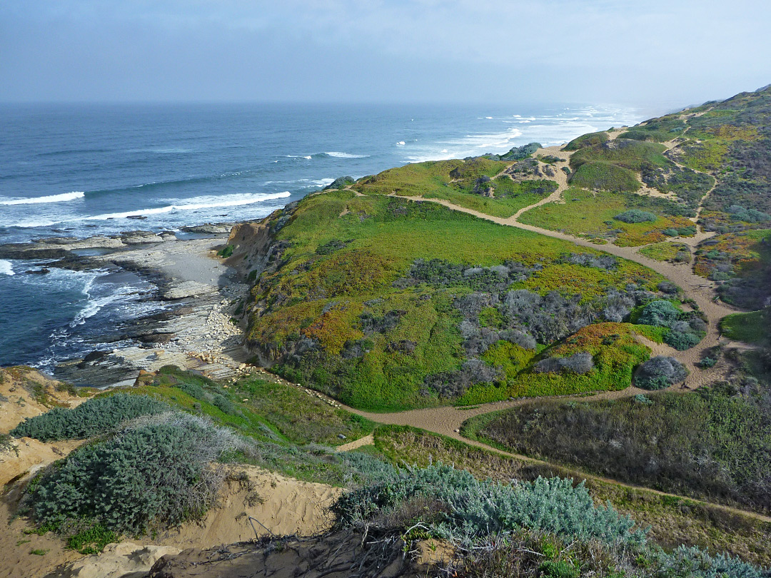 Grassy dunes