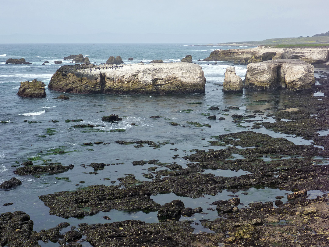 Isolated rocks