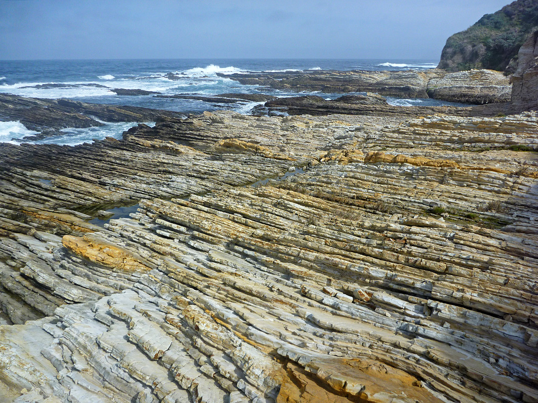 Coastal terrace