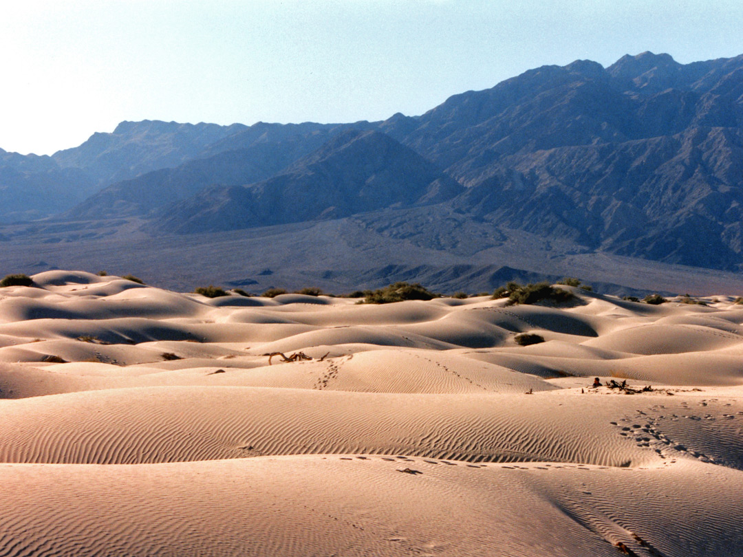 Morning sun on the Mesquite Flat dunes