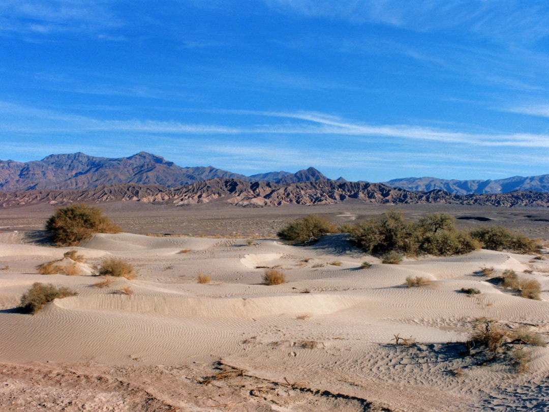 Mesquite Flat dunes
