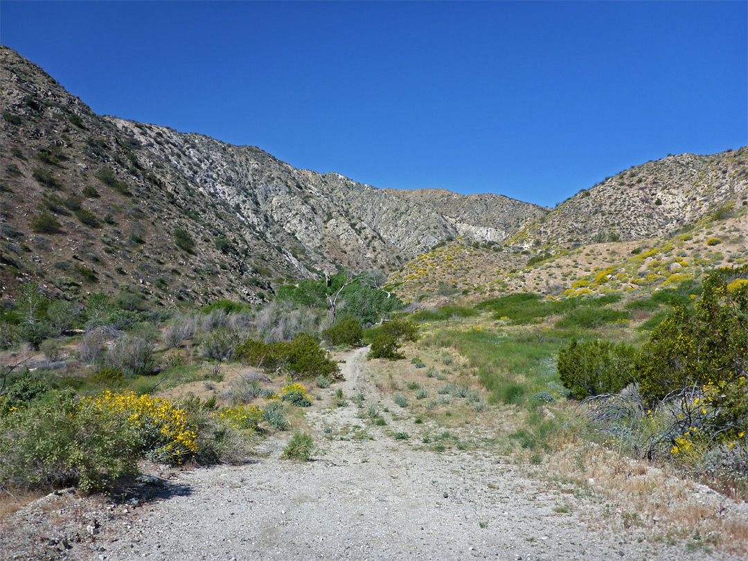 Middle of the canyon