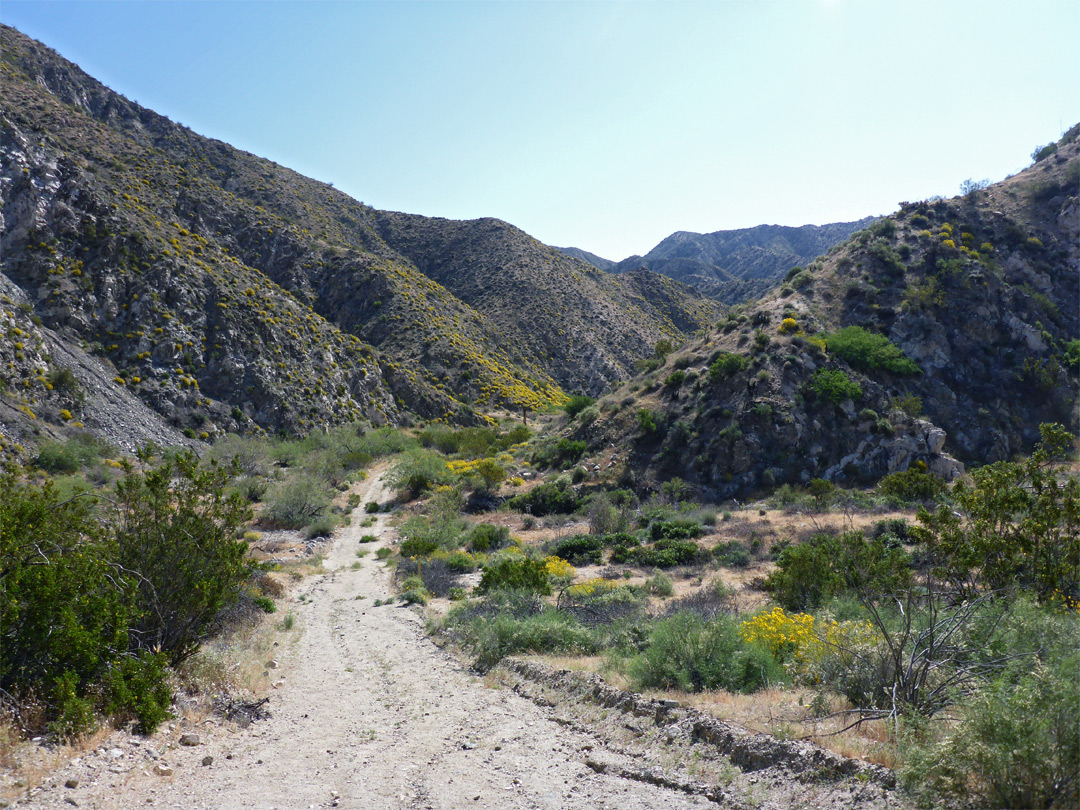 Arid drainage