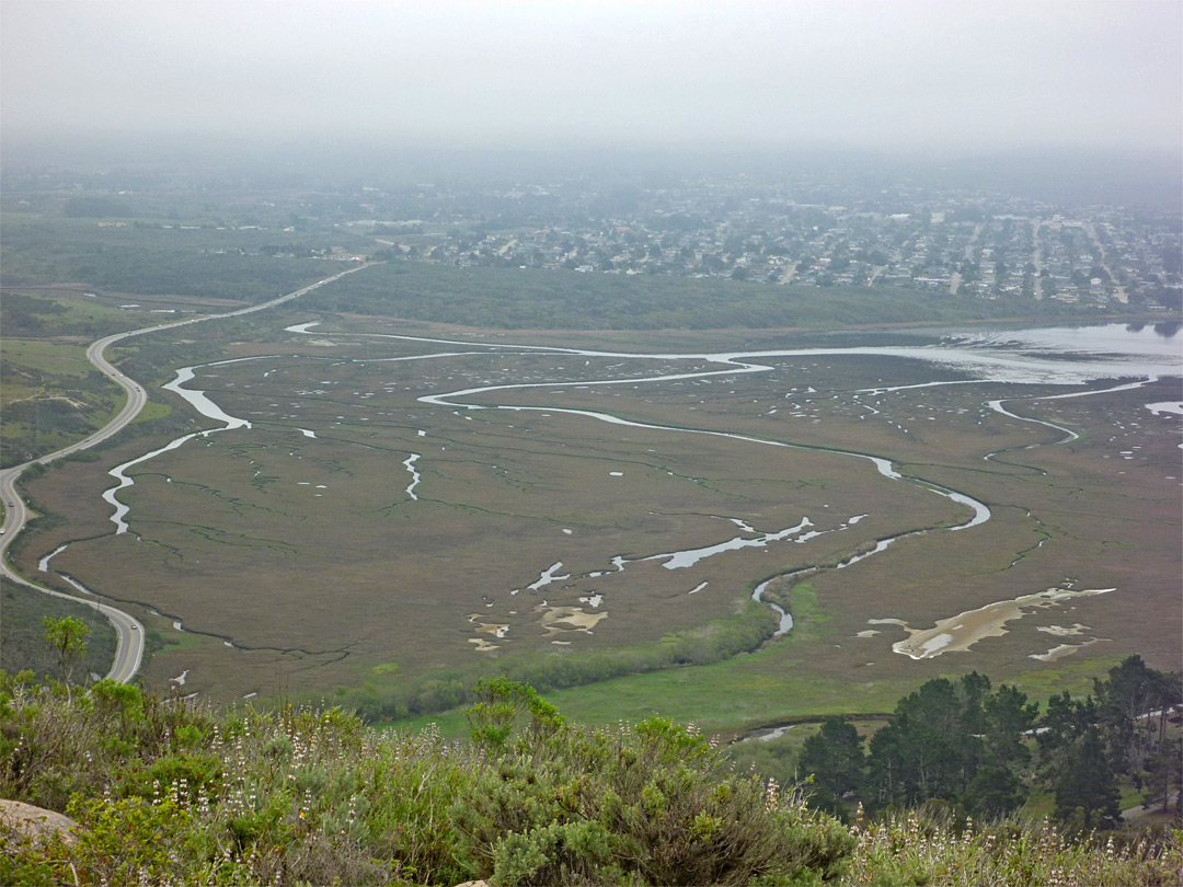 Morro Estuary