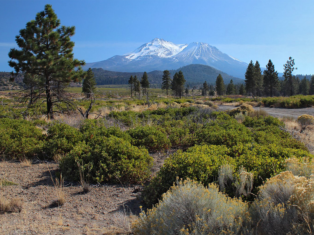 View from US 97