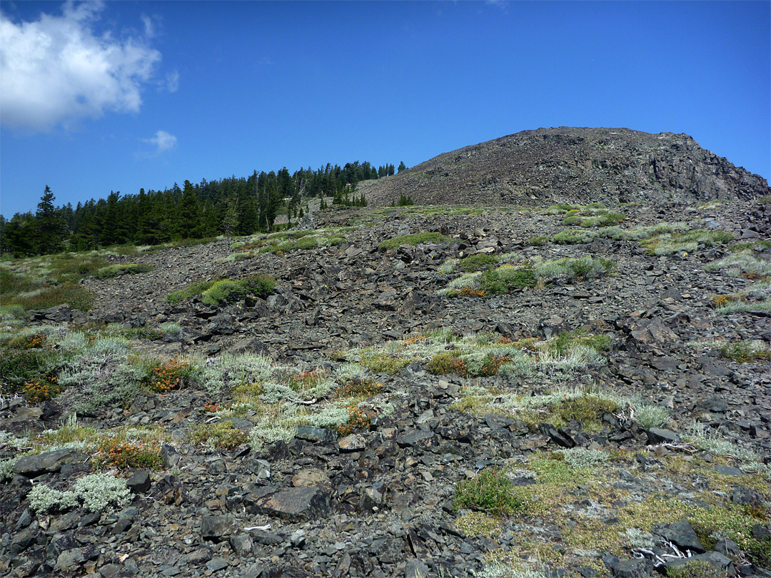 Ridge south of the summit