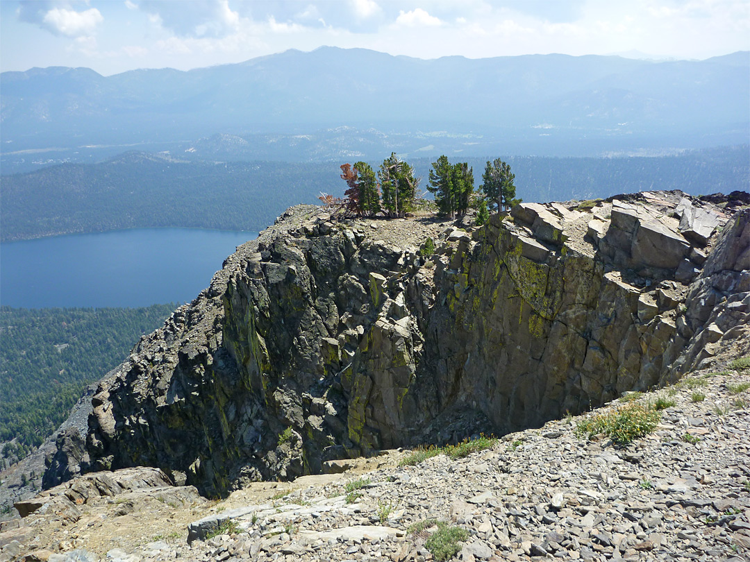 Trees near the summit